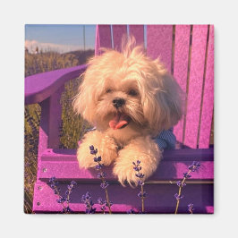 Glad Shih Tzu-valp som slappnar (Hunddagar) Magnet
