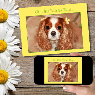 Glad sjuksköterskedag Cavalier King Charles Spanie Kort