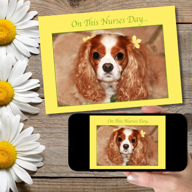 Glad sjuksköterskedag Cavalier King Charles Spanie Kort (Skapare uppladdad)