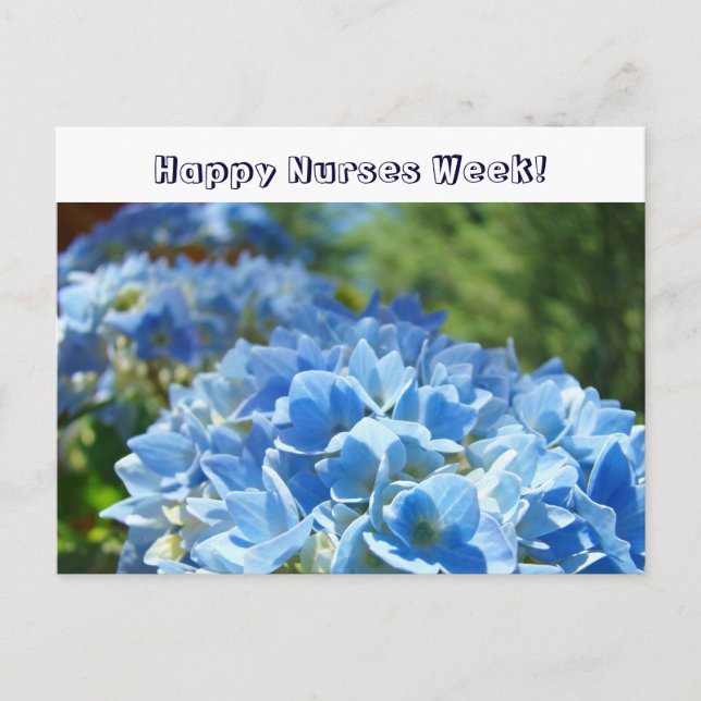 Glad sjuksköterskvecka! vykort Blå Hortensia (Framsida)