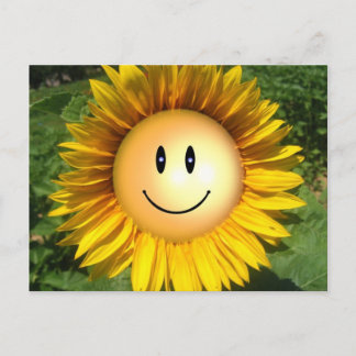 Glad Solskensblomma Vykort