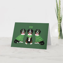 Glad St. Patricks dag Bernese Mountain Dogs Helgkort