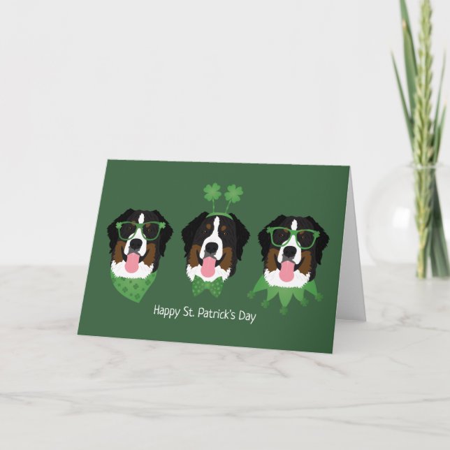 Glad St. Patricks dag Bernese Mountain Dogs Helgkort (Framsida)