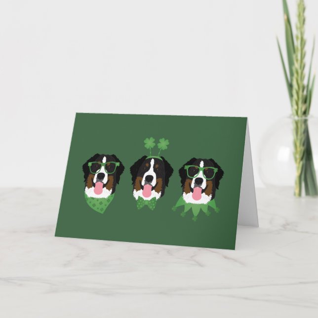 Glad St. Patricks dag Bernese Mountain Dogs Helgkort (Framsida)