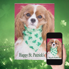Glad St. Patrick's Day Cavalier King Charles Valp Kort