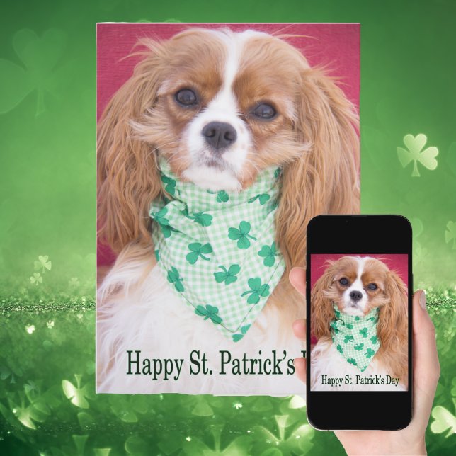 Glad St. Patrick's Day Cavalier King Charles Valp Kort (Skapare uppladdad)