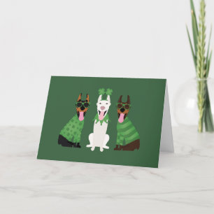 Glad St Patricks Day Dobermann Hundar Helgkort
