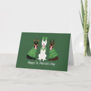Glad St Patricks Day Dobermann Hundar Helgkort