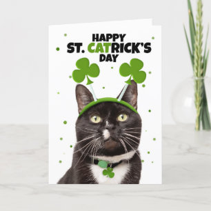 Glad St Patricks Day för alla Katt i huvudband Helgkort