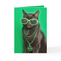 Glad St. Patricks Day Katt i Grönt Skämt 