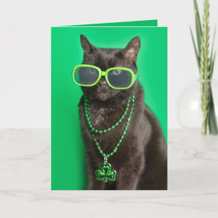 Glad St. Patricks Day Katt i Grönt Skämt Helgkort