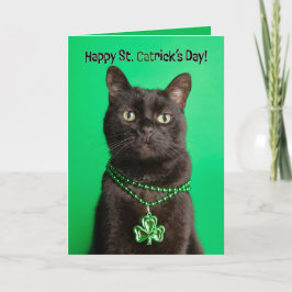 Glad St Patricks Day Katt i Shamrock Helgkort