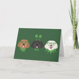 Glad St Patricks Day Maltipoo Hundar Helgkort