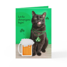Glad St Patricks Day Rolig Katt Med Öl