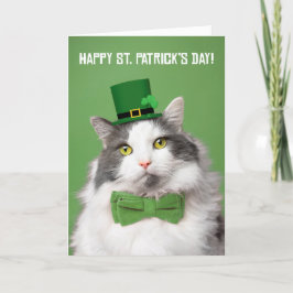 Glad St Patricks Day Söt Kattunge i Grönt Helgkort