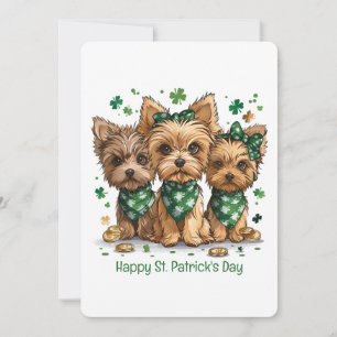 Glad St. Patrick's Day Yorkshire Terrier Hundar Julkort