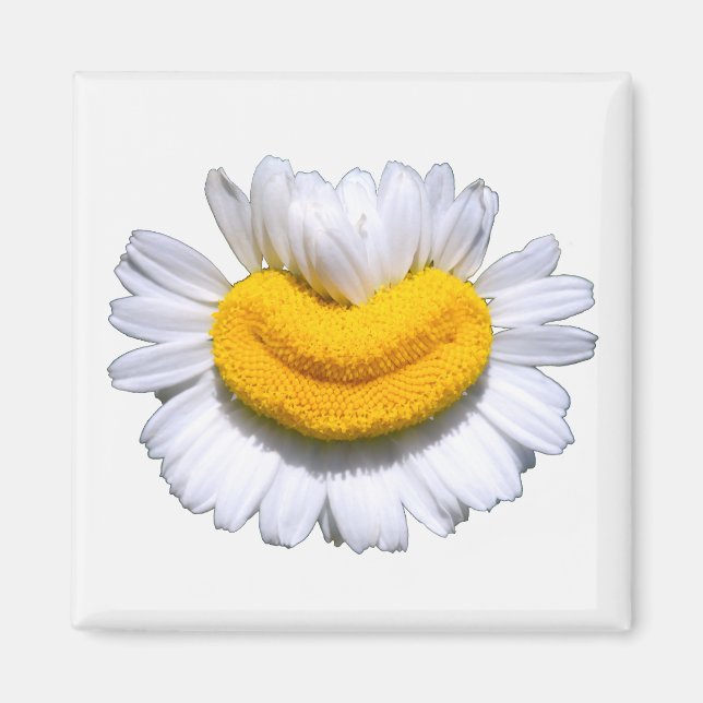 Glad Strålande Kamomill Smil  Magnet (Framsidan)
