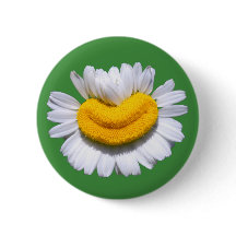 Glad Strålande Kamomillblomma Leende