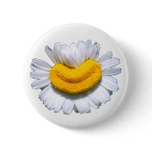 Glad Strålande Kamomillblomma Leende