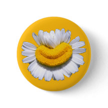 Glad Strålande Kamomillblomma Leende