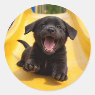 Glad svart labrador-valp glider nedför gul rutschk runt klistermärke