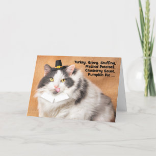 Glad tacksägelsedagen Rolig fet katt i pilgrimshat Helgkort