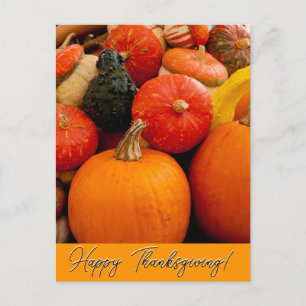 Glad Thanksgiving-pumpor och squash Vykort