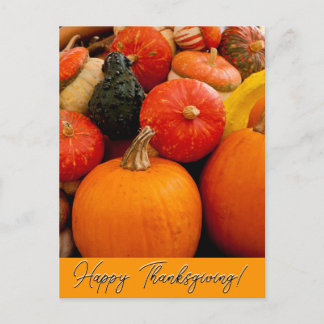 Glad Thanksgiving-pumpor och squash Vykort