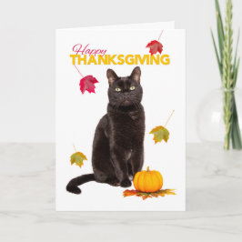 Glad Thanksgiving Söt svart katt med höstlöv Helgkort