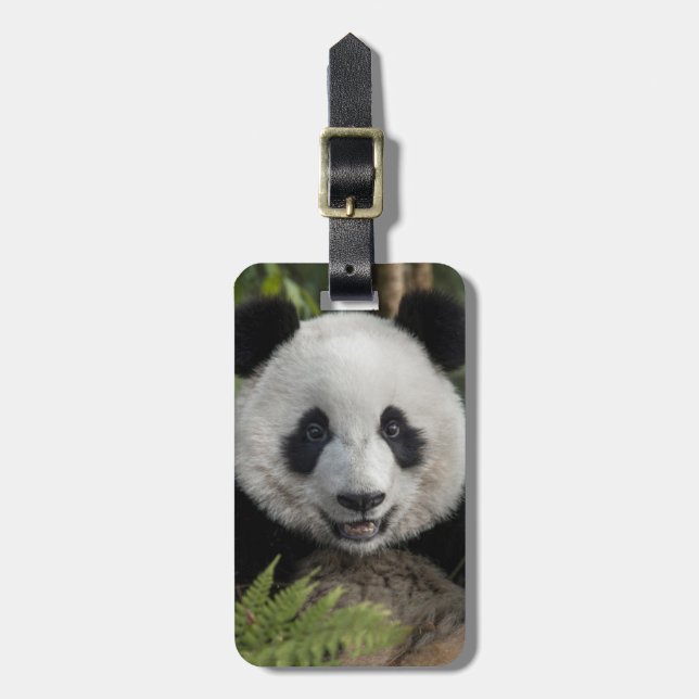 Glad ung panda, Kina Bagagebricka (Vertikal Framsida)