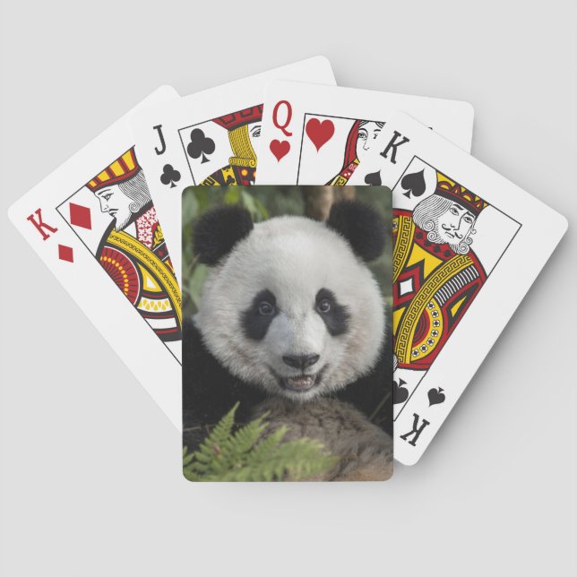 Glad ung panda, Kina Casinokort (Baksidan)
