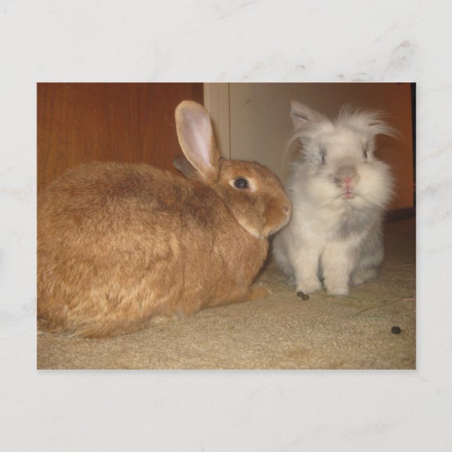 glad vykort (Framsida)