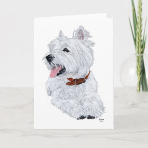 Glad West Highland White Terrier Kort