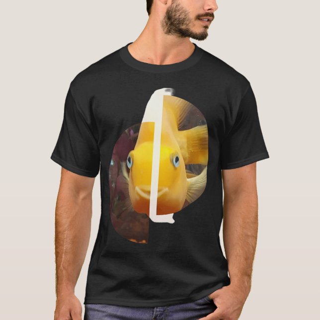 Glada fisk halvcirklar t shirt (Framsida)