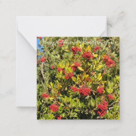 Glada helger från Kalifornien! Anteckningskort