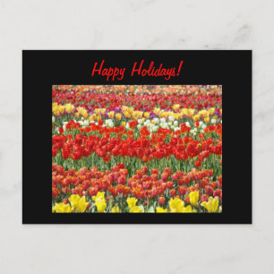 Glada helger! vykort Röd Tulpan Blommor