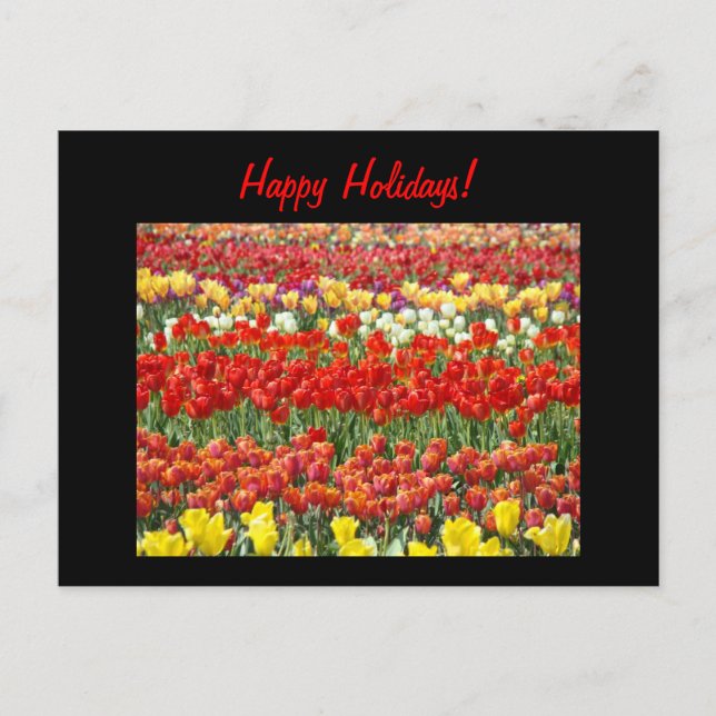 Glada helger! vykort Röd Tulpan Blommor (Framsida)