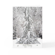 Glada högtider: Njut av de enkla nöjena-Boston