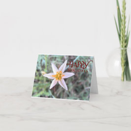 Glada högtider Vit blomma Tom julkort Tack Kort
