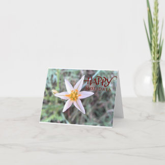 Glada högtider Vit blomma Tom julkort Tack Kort
