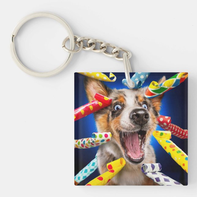 Glada hundpartyblåsare (Framsidan)