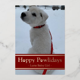 Glada Pawlidays