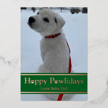 Glada Pawlidays