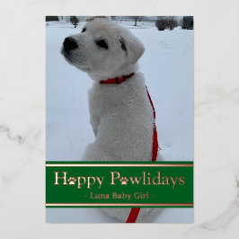 Glada Pawlidays