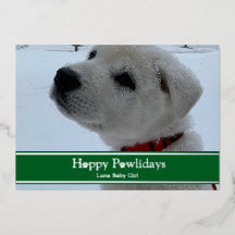 Glada Pawlidays