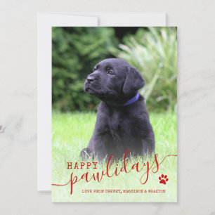 Glada Pawlidays Hund Foto Modern Jul för Husdjur Julkort