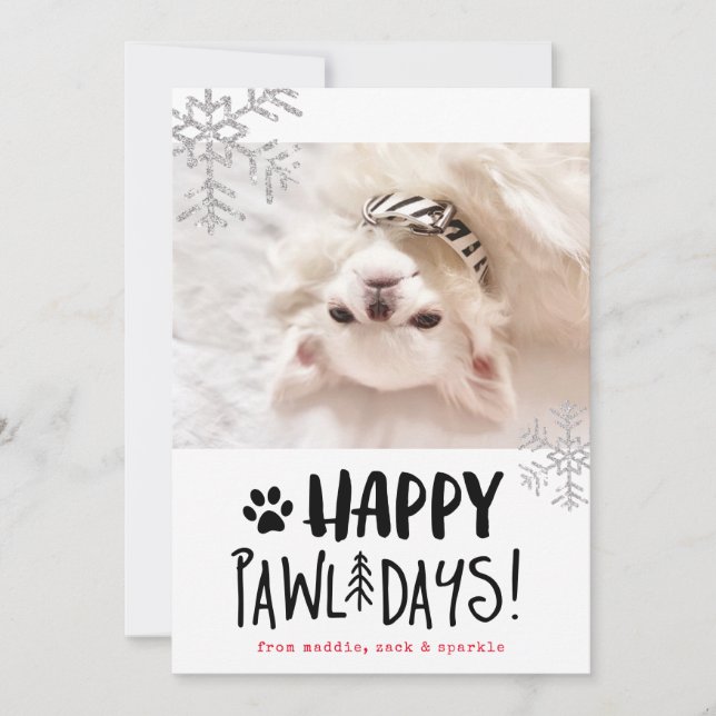 Glada Pawlidays | Husdjursfoto Julkort (Framsida)