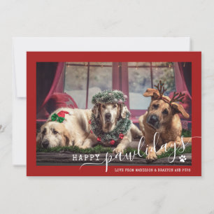 Glada Pawlidays Röda Hund Djur Foto Jul Julkort