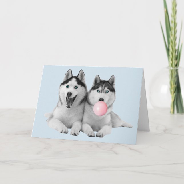 Glada söta sibiriska huskyhundar Bubble Gum Kort (Framsida)