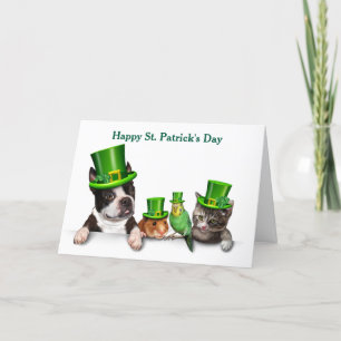 Glada St. Patricks dag Pets Helgkort